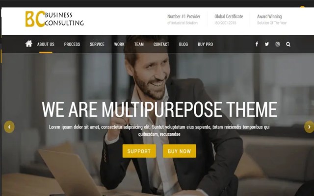 BC Business Consulting