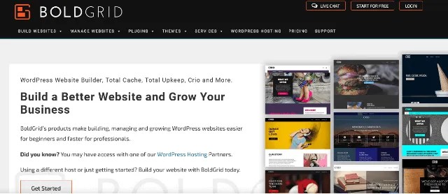 BoldGrid: An Established WordPress Theme Firm