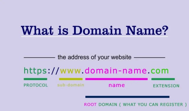 choose a domain