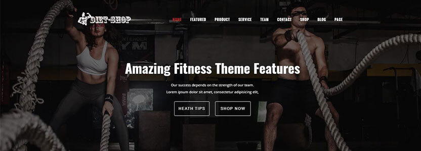 DietShop: The WooCommerce Template at No Charge