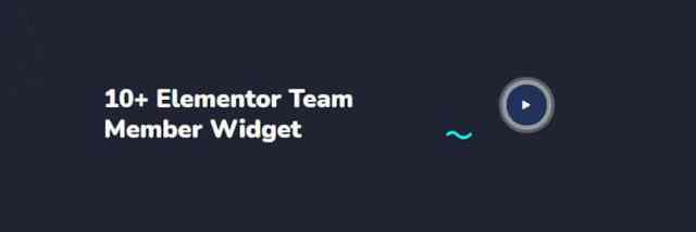 elementor team members