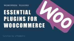 Essential Plugins for Woocommerce to Manage WooCommerce store
