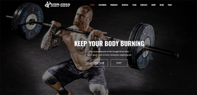 free Elementor themes