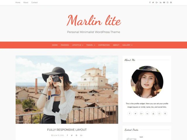 Marlin lite By VolThemes
