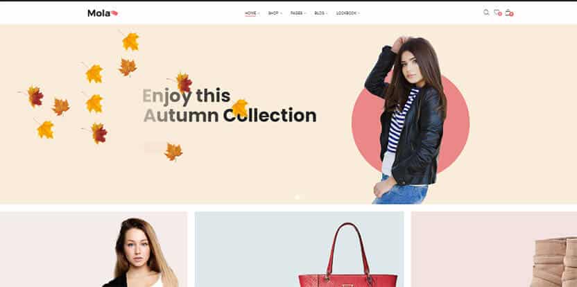 minimal WooCommerce theme