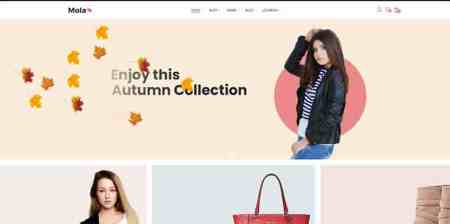 minimal WooCommerce theme