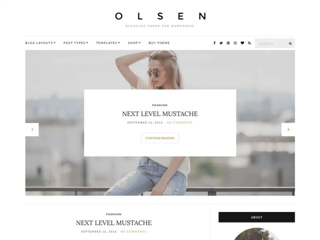 Olsen Light By The CSSIgniter
