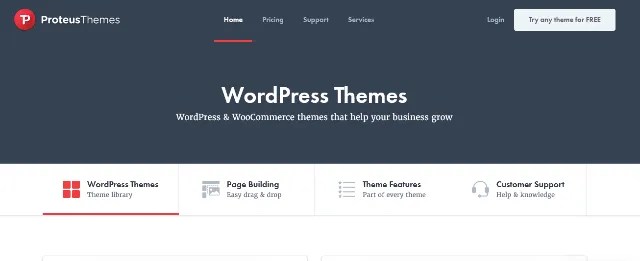ProteusThemes: A Leading WP Template Developer