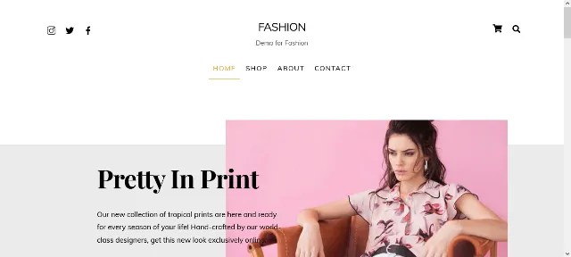 Ultra: An Cutting-Edge WooCommerce Solution