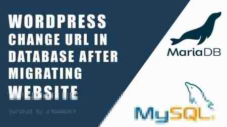 WordPress Change URL in Database