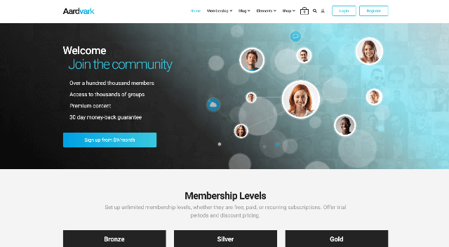 Aardvark: A Classic Intranet WordPress Theme