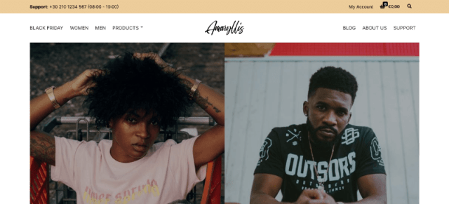 Amaryllis a Cutting-edge Website Template