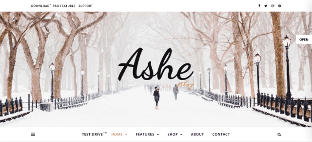 Ashe Exhibit Display Template