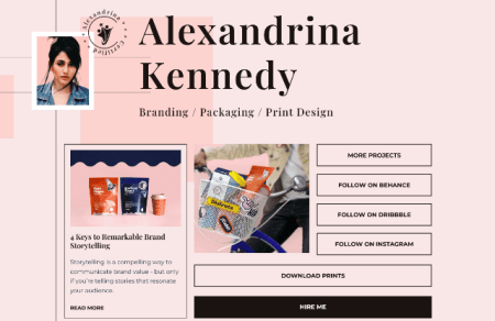 freelancer WordPress theme