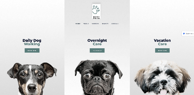 Astra: A Multipurpose WordPress Theme for Pet Shop