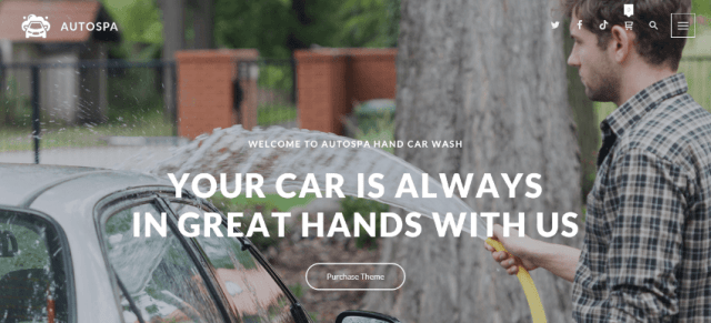 Auto Spa
