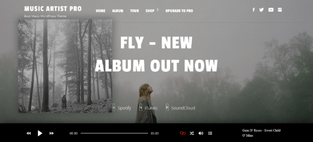 Music Artist By Flawless Themes