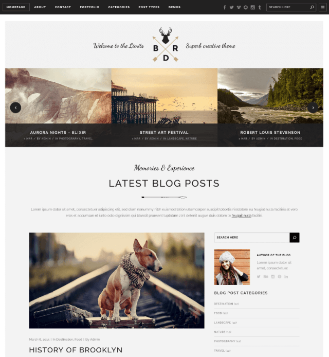 Borderland by Elated Themes