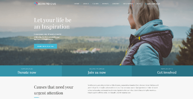 Born To Give: A Beautiful Fundraising Web Design