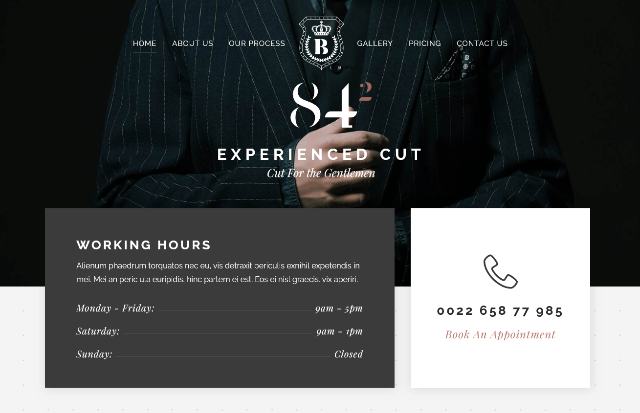 Bridge: The Ultimate Multipurpose Website Template