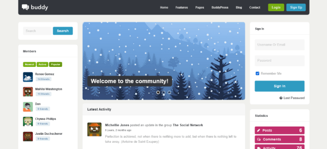 Buddy WordPress BuddyPress theme