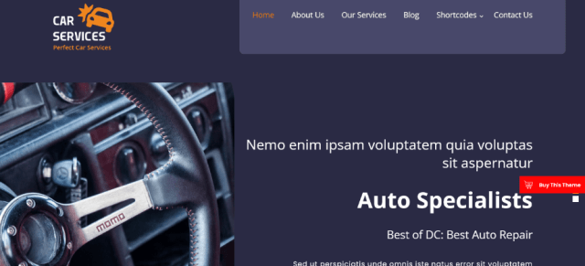 Car Service