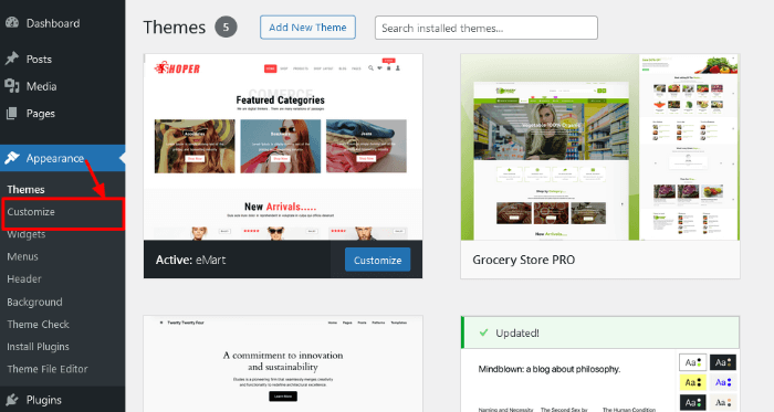 Add Custom CSS in WordPress
