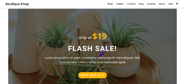 Divi a boutique WordPress theme