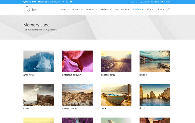 Divi: A Multi-purpose Gallery WordPress Theme