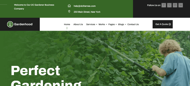 Divi: An Exceptional Plant Website Template