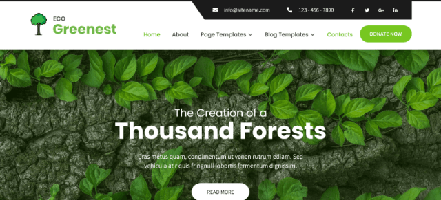 Eco Greenest