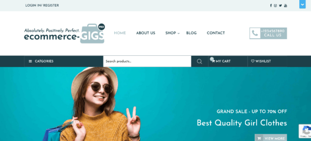 eCommerce Gigs