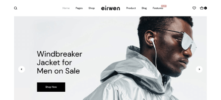 WordPress Sportswear Themes
