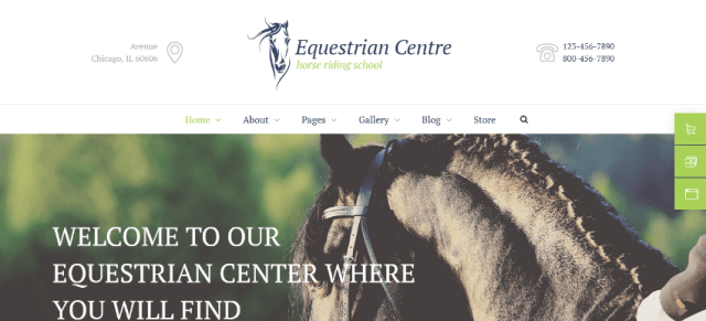 Equestrian