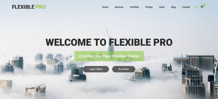 single page wordpress theme