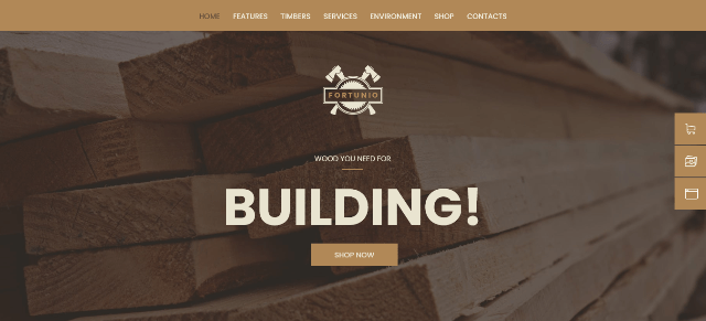 Fortunio: A Modern and Bold Woodworking WordPress Theme