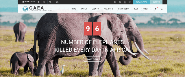 Gaea: A Powerful Natural Website Template