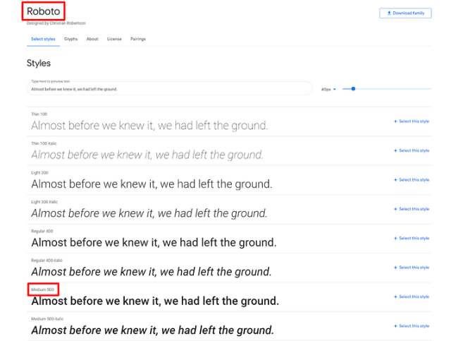 Google Font