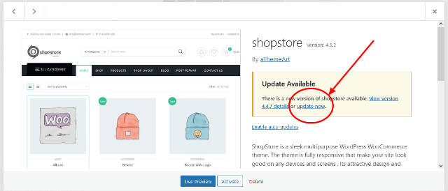 How to Update WordPress Theme Without Losing Content