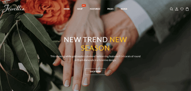 Jewellia - Responsive premium themes