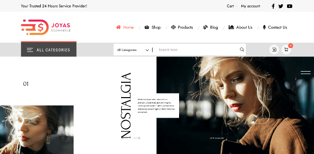 Joyas: Top Choice Among Fastest WordPress Themes