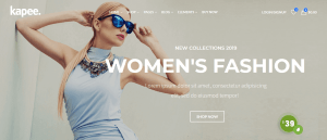 15 + Highly Extentenable Best WooCommerce themes to build Your next WordPress store