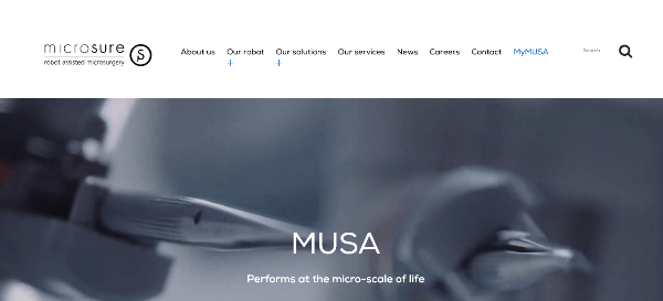 Microsure
