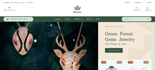 Moonte: a Top-notch WordPress Theme