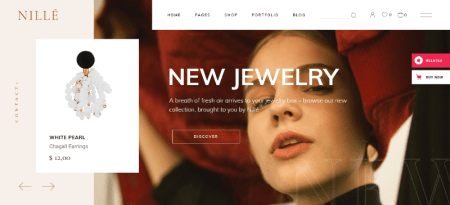 clothing store wordpress theme