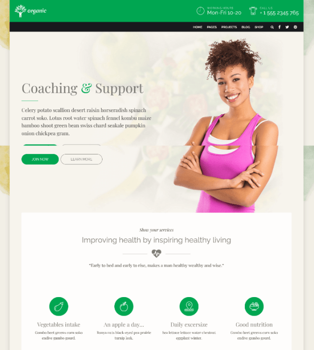 Organic a diet nutrition WordPress theme