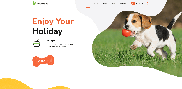 Pawsitive: An Efficient Animal Care Website Template