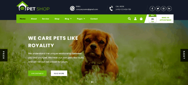Pet Animal Store