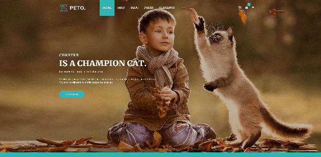 ThemeFTC: A Pet Rescue Site Template