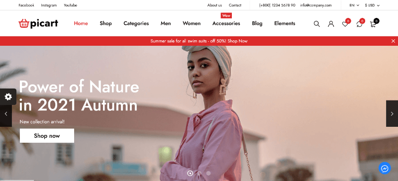 Picart: An Elegant Boutique Website Template
